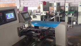 工廠直銷自動(dòng)五金包裝機(jī)器伺服機(jī)